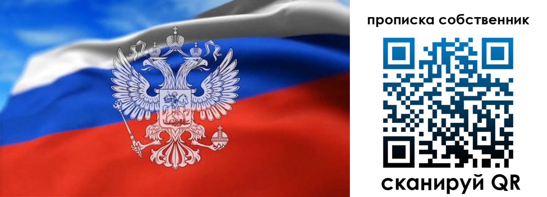 прописка законно в Электрогорске
